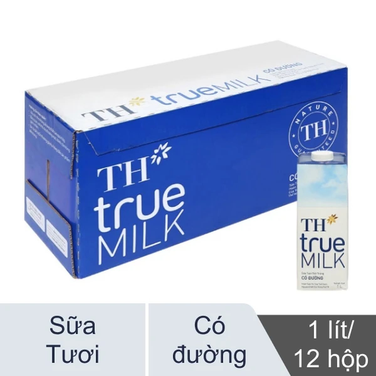 TH-St có đường hộp 1L