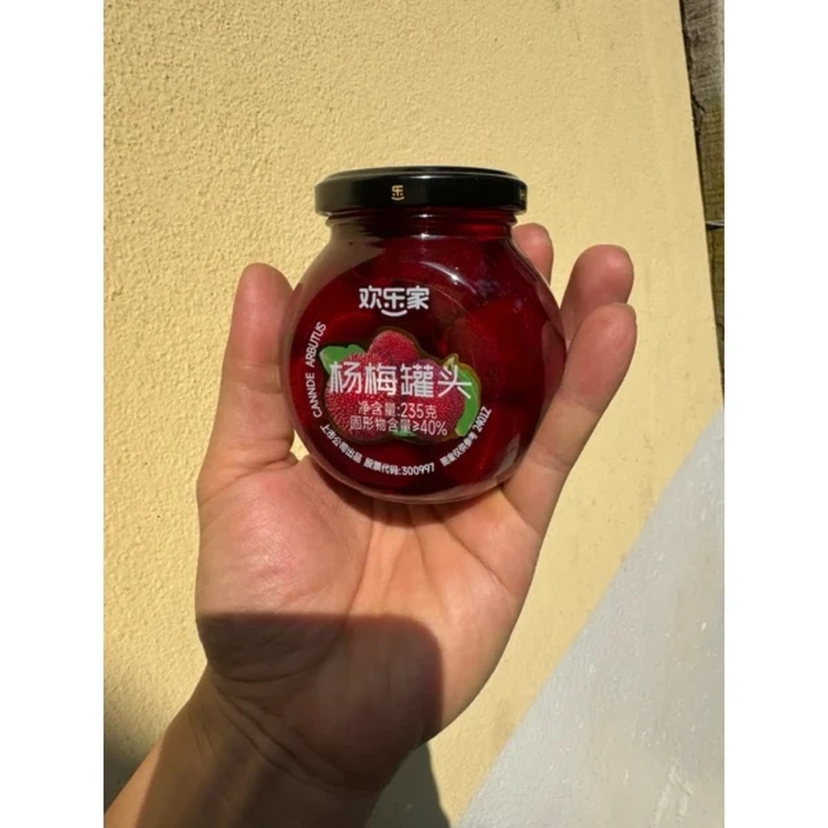 Dương mai ngâm